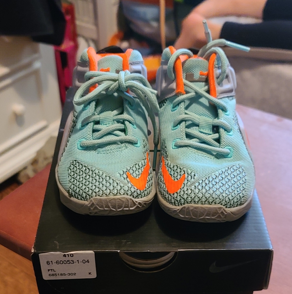 LeBron XII sz 9c toddler